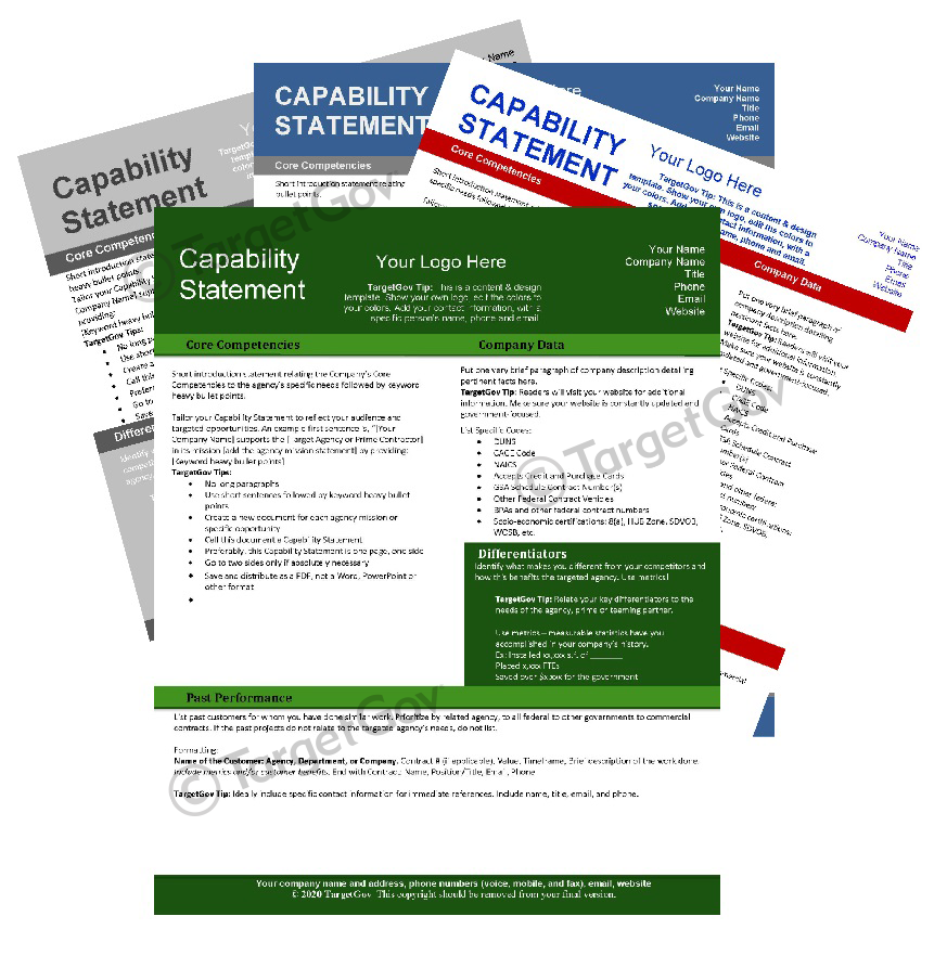 capability-statement-template-bundle-2-targetgov